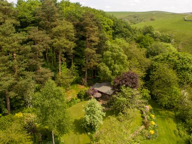 A garden with trees shrubs and a small shed surrounded by a forest at Kail House in Grassington