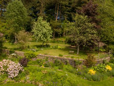 A garden with trees flowers a stone wall and a bench at Kail House in Grassington