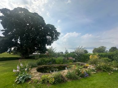 A garden with a pond and flowers at How Hill Farm Cottage Greystoke