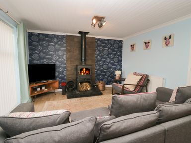 A living room with a wood burning stove a television on a wooden stand and seating with cushions at The Chalet in Coulderton near Egremont Cumbria