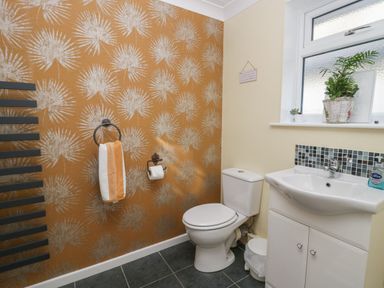A bathroom with a toilet, sink, hand towel, and plants on the window sill at The Chalet in Coulderton near Egremont Cumbria