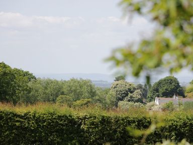 A view of trees and bushes with rooftops visible in the distance at Swallow Barns in Chipping Sodbury