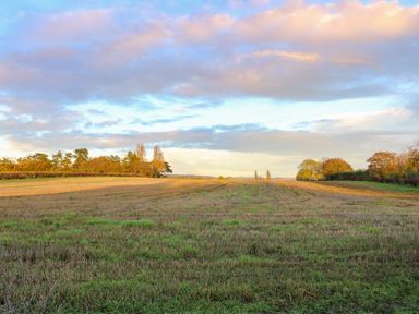 A field with grass and cut crops with trees in the background under a cloudy sky