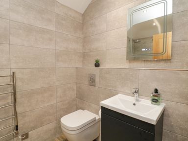 A bathroom with a toilet a sink with a soap dispenser a mirror and a towel warmer at Bracken Cottage in Pocklington