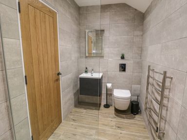 A bathroom with a wooden door wall-mounted sink toilet towel warmer and small plant at Bracken Cottage in Pocklington
