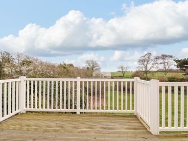 A wooden deck with white railings overlooking a garden with a greenhouse and trees at Halsey in Walberswick