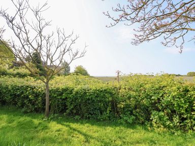 A garden with trimmed hedges and leafless trees with a field and house in the background at Halsey Walberswick