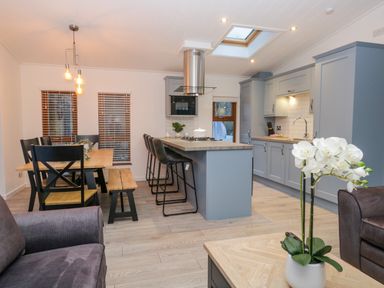 An open plan kitchen and dining area with a wooden dining table and black chairs a kitchen island with bar stools under ceiling lights and skylight a potted orchid on a coffee table at 25 Thirlmere in Troutbeck Bridge