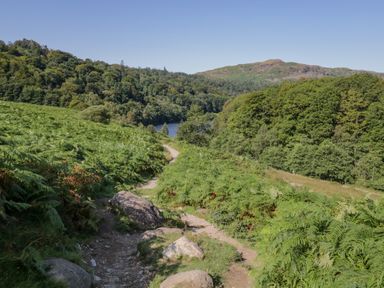 A dirt path with rocks surrounded by green vegetation and trees with hills in the background at 25 Thirlmere in Troutbeck Bridge
