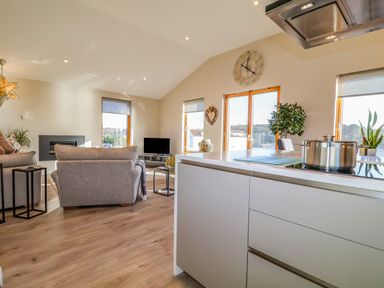 An open kitchen and living area with a stove on the island and sofas facing a TV at The Penthouse in Woodbridge