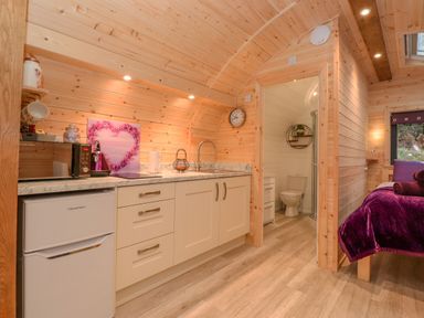 A wooden interior kitchen with white cabinets a small fridge microwave and kettle next to a bathroom with a toilet and shower and a bedroom area with a bed with purple bedding at Lovies Place - Crossgate Luxury Glamping in Hartsop near Glenridding