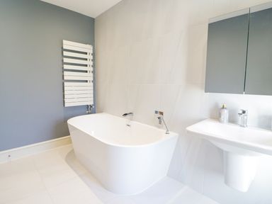 A bathroom with a freestanding bathtub a white towel radiator a sink with a mirror cabinet and soap dispenser at Bryn Mor in Benllech