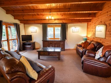 A living room with leather sofas a coffee table a television and wooden ceiling at Avocet Lodge in Tattershall Lakes Country Park