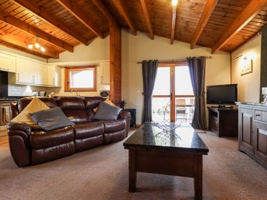 A living room with a leather sofa pillows coffee table kitchen and television at Avocet Lodge in Tattershall Lakes Country Park