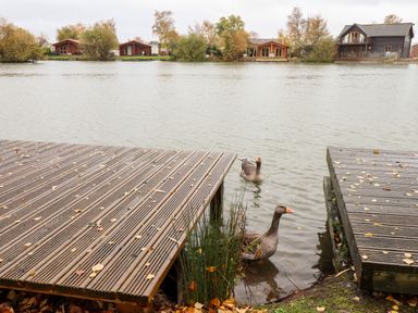 A lake with two geese swimming near wooden docks and houses in the background at Avocet Lodge in Tattershall Lakes Country Park