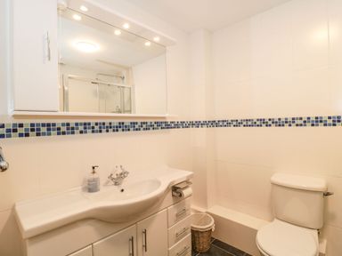 A bathroom with a sink vanity unit a toilet a waste basket and a shower at Rainbow View in Churchstanton near Churchinford
