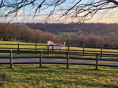 A white horse and a sheep in a fenced grassy field with hills and bare trees in the background at Rainbow View in Churchstanton near Churchinford