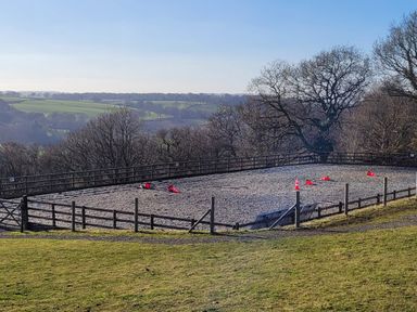 An outdoor fenced riding arena with traffic cones on the sand surface and trees in the background at Rainbow View in Churchstanton near Churchinford