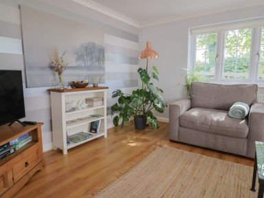 A living room with a plant and a chair at Rainbow View Churchstanton near Churchinford