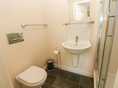 A bathroom with a toilet, sink, mirror, shower enclosure, toilet paper holder, and trash bin at The Old Farm House in Redberth near Pentlepoir