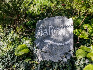 A stone with the name Aaron written on it surrounded by green plants and leaves