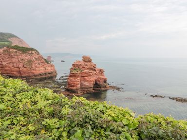 A rocky coastline with cliff formations and green vegetation overlooking the sea at The Retreat in Otterton