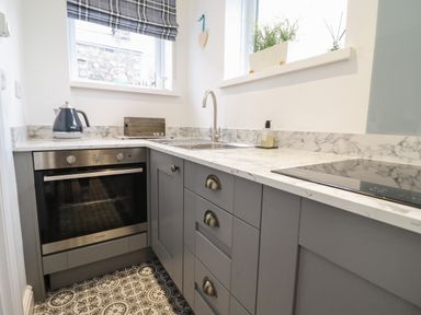 A kitchen with gray cabinets a built-in oven a stainless steel sink and a kettle on the countertop at 3 Ivy Court in Dolgellau