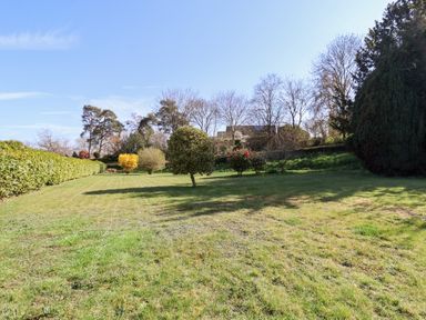 A grassy garden area with various trees and shrubs under a blue sky at Rhubarb Cottage in Ufford near Woodbridge