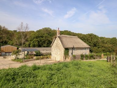 A stone cottage with a thatched roof surrounded by greenery and outbuildings in a rural setting at Dairy Cottage in Abbotsbury