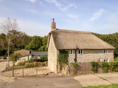 A stone cottage with a thatched roof surrounded by trees and a paved area at Dairy Cottage in Abbotsbury