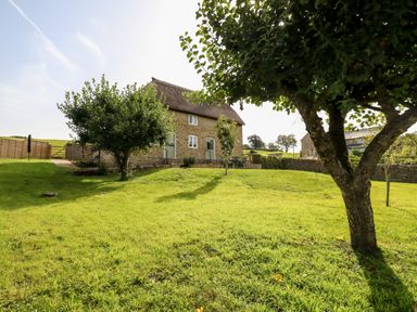A stone cottage with thatched roof surrounded by grass and trees at Dairy Cottage in Abbotsbury