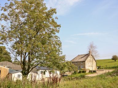 A stone cottage with a thatched roof beside a dirt road and a tree in the foreground at Dairy Cottage in Abbotsbury