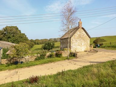 A stone cottage with a thatched roof next to a road and green fields at Dairy Cottage in Abbotsbury