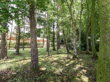 A wooded area with trees grass and a wooden fence with a building in the background at Washburn Lodge in Fewston near Darley
