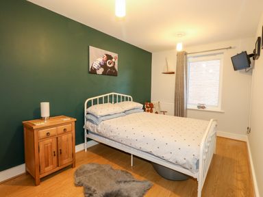 A bedroom with a white metal bed frame wooden nightstand and green accent wall at Pointers View in Weymouth