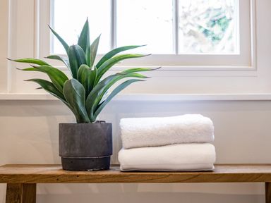 A wooden bench with a potted green plant and two folded white towels in front of a window at Mermaid Cottage in Port Isaac