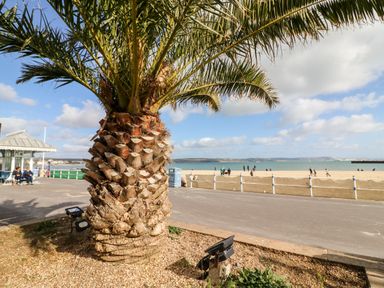 A palm tree near a paved walkway with people on a sandy beach and sea in the background at Flat 6 Thornlow Heights Weymouth