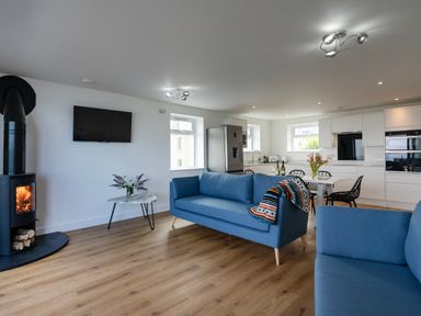 A living room with two blue sofas a small table with flowers a wood stove and a kitchen area at Treen in St Ives