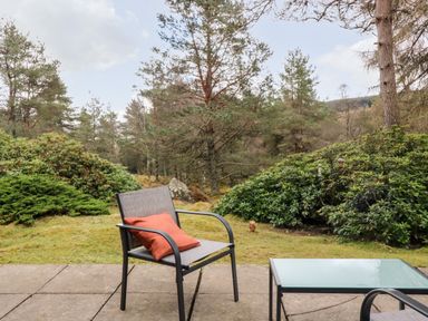 An outdoor patio with a chair with an orange pillow and a glass table surrounded by trees and bushes at Rocksite in Kirkmichael Perth And Kinross