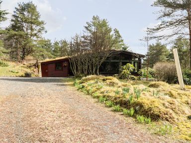 A gravel driveway leading to a wooden house surrounded by trees and plants at Rocksite in Kirkmichael Perth And Kinross
