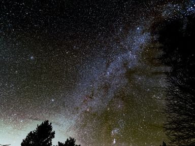 A night sky filled with stars and a silhouette of trees at Rocksite in Kirkmichael Perth And Kinross