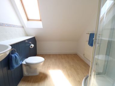 A bathroom with a toilet sink towel rail and shower under a skylight at Drifters in Winterton-On-Sea