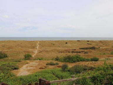 A landscape view of sandy dunes with paths and sparse vegetation leading to the sea at Drifters in Winterton-On-Sea