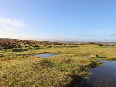 A grassy landscape with puddles of water and distant hills under a blue sky at The Cottage on The Square in Chagford