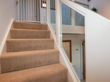 Carpeted stairs with a white safety gate at the top and a glass-paneled banister in a hallway