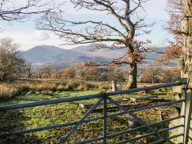 A metal gate opens to a field with a sheep near two wooden benches and trees in autumn with hills in the background