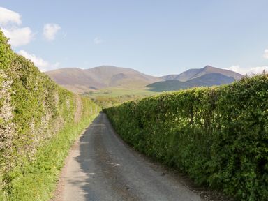 A narrow country lane with tall hedges on both sides leading towards distant hills at Carlton House Apartment 1 in Keswick