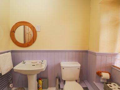 A bathroom with a pedestal sink mirror toilet toilet paper holder and a towel rack at Field Cottage in Shepton Mallet