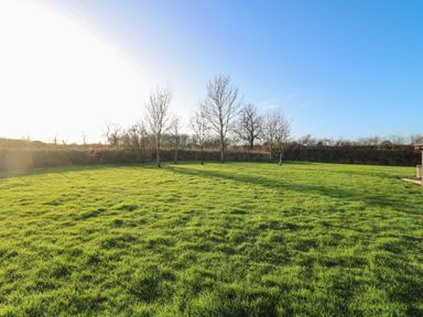 A garden with grass and trees at Lodge 2 in South Hykeham