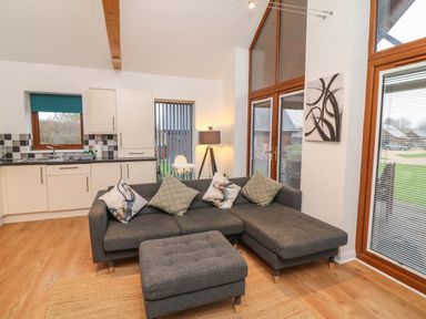 A living room with a sofa and kitchen in Lodge 4 South Hykeham